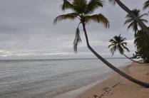 Bela praia no caminho para Pigeon Point, em Crown Point - Tobago